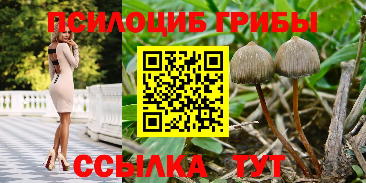 Псилоцибиновые грибы MAGIC MUSHROOMS Еманжелинск